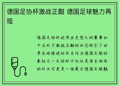 德国足协杯激战正酣 德国足球魅力再现
