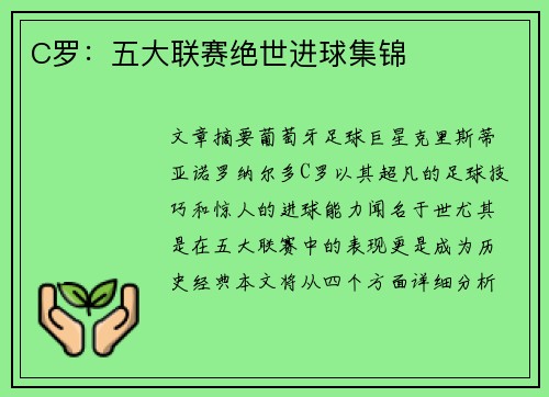 C罗：五大联赛绝世进球集锦